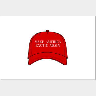 Make America Exotic Again Posters and Art